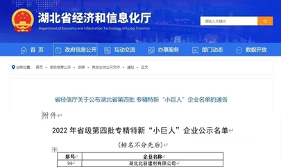 湖北北新榮登湖北省專精特新‘小巨人’企業(yè)榜單，彰顯創(chuàng)新實(shí)力